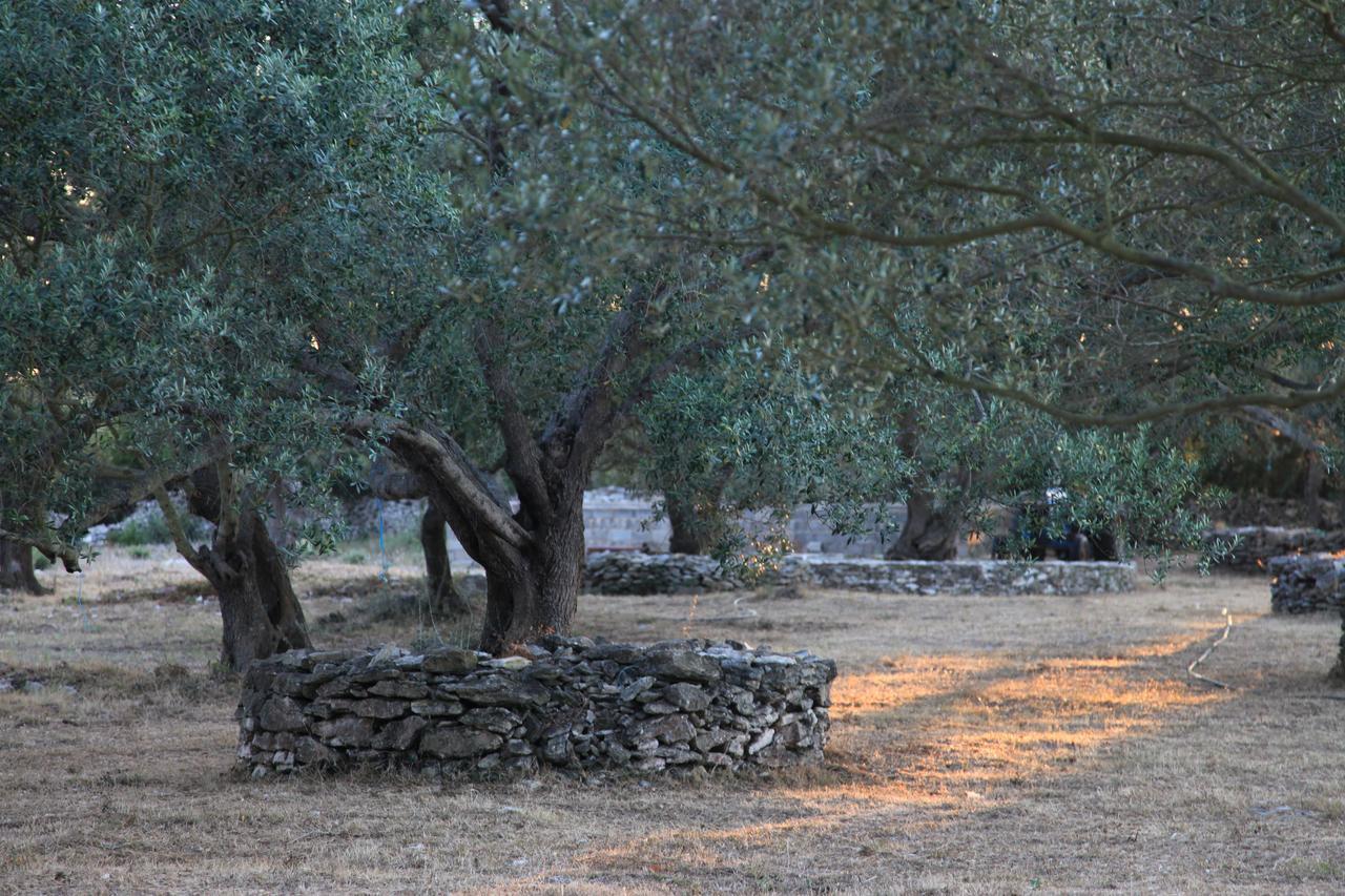 A Loghja Di Cavallo Morto Bonifacio  Εξωτερικό φωτογραφία