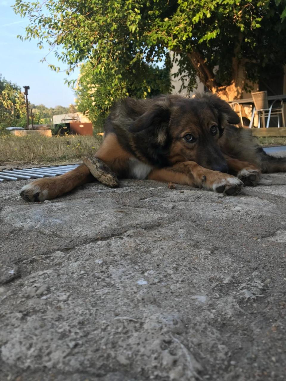 A Loghja Di Cavallo Morto Bonifacio  Εξωτερικό φωτογραφία