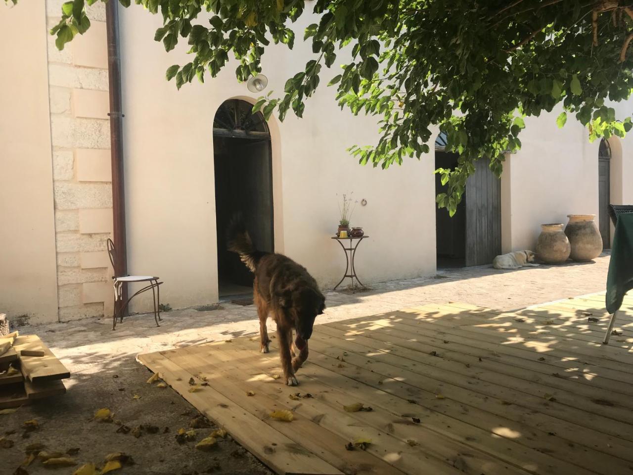 A Loghja Di Cavallo Morto Bonifacio  Εξωτερικό φωτογραφία